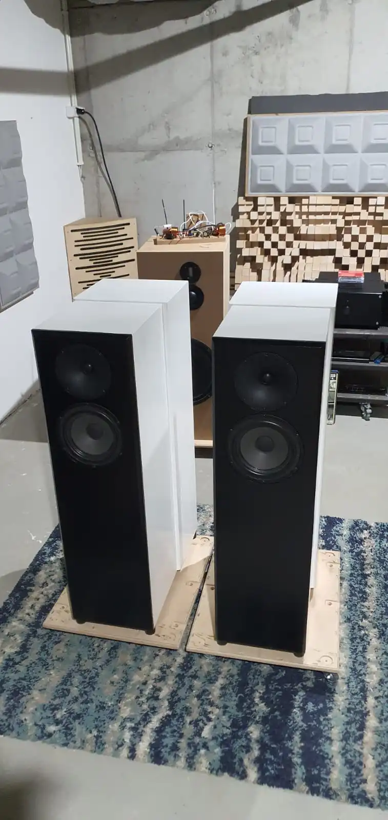 Customowy system audio